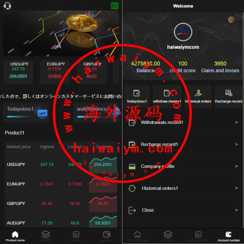 海外多语言微盘系统/外汇微交易源码/日本时间盘