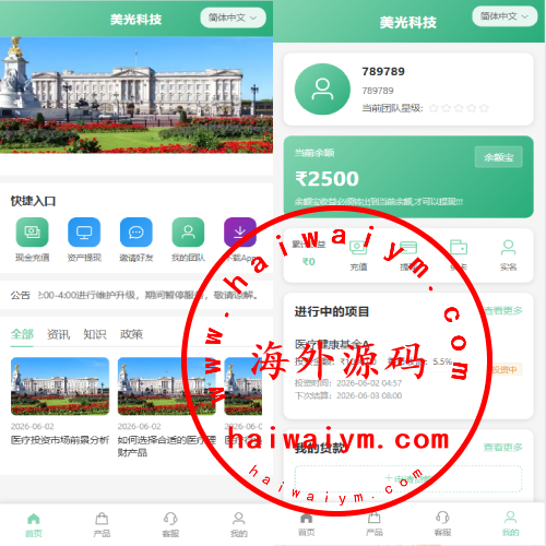 新版海外投资理财系统/医疗项目基金投资/贷款/余额宝